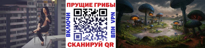 купить наркотик  Жирновск  Галлюциногенные грибы мухоморы 